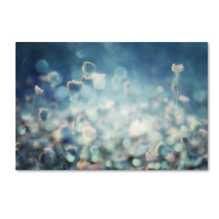 Trademark Fine Art Stefan Eisele 'Diamonds' Canvas Art, 12x19 1X02610-C1219GG